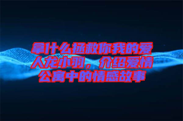 拿什么拯救你我的愛人龍小羽，介紹愛情公寓中的情感故事