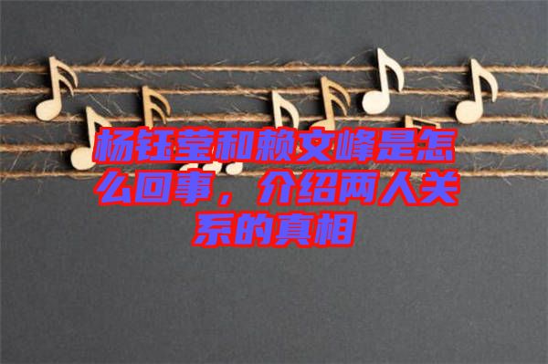 楊鈺瑩和賴文峰是怎么回事，介紹兩人關(guān)系的真相