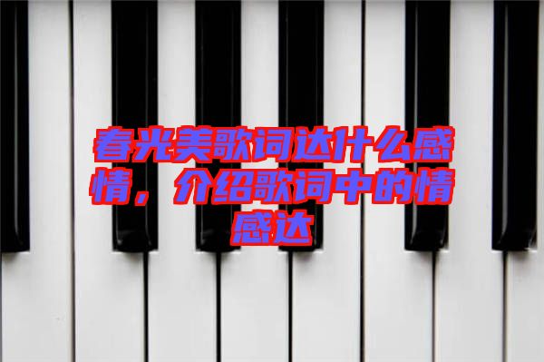 春光美歌詞達(dá)什么感情，介紹歌詞中的情感達(dá)