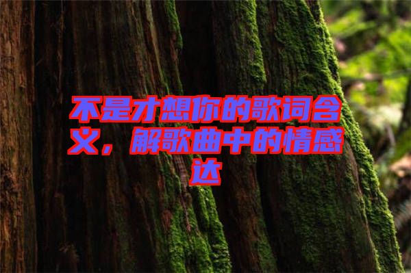 不是才想你的歌詞含義，解歌曲中的情感達(dá)