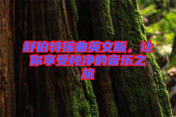 舒伯特?fù)u曲英文版，讓你享受純凈的音樂之旅