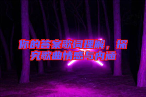 你的答案歌詞理解，探究歌曲情感與內(nèi)涵