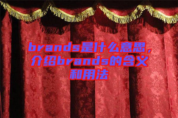 brands是什么意思，介紹brands的含義和用法