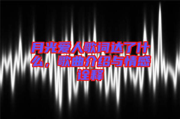 月光愛人歌詞達(dá)了什么，歌曲介紹與情感詮釋