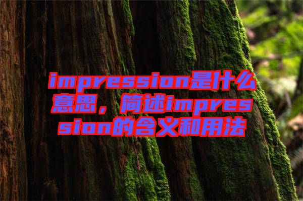 impression是什么意思，簡(jiǎn)述impression的含義和用法