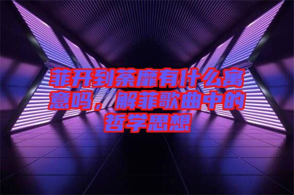 菲開到荼靡有什么寓意嗎，解菲歌曲中的哲學(xué)思想