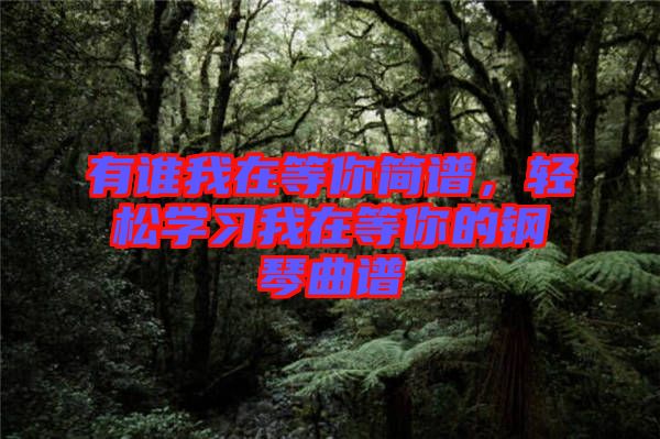 有誰(shuí)我在等你簡(jiǎn)譜，輕松學(xué)習(xí)我在等你的鋼琴曲譜