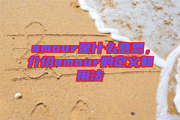 amour是什么意思，介紹amour的定義和用法