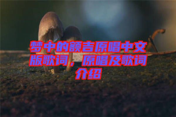 夢中的額吉原唱中文版歌詞，原唱及歌詞介紹