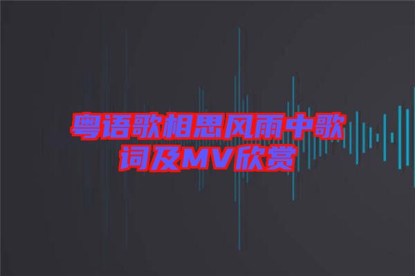 粵語歌相思風雨中歌詞及MV欣賞