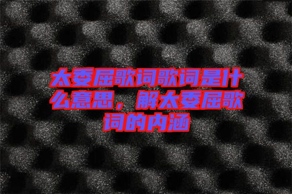 太委屈歌詞歌詞是什么意思，解太委屈歌詞的內(nèi)涵