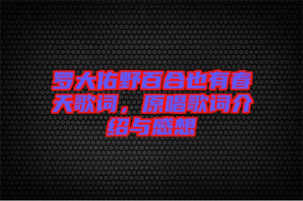 羅大佑野百合也有春天歌詞，原唱歌詞介紹與感想