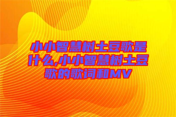 小小智慧樹土豆歌是什么,小小智慧樹土豆歌的歌詞和MV