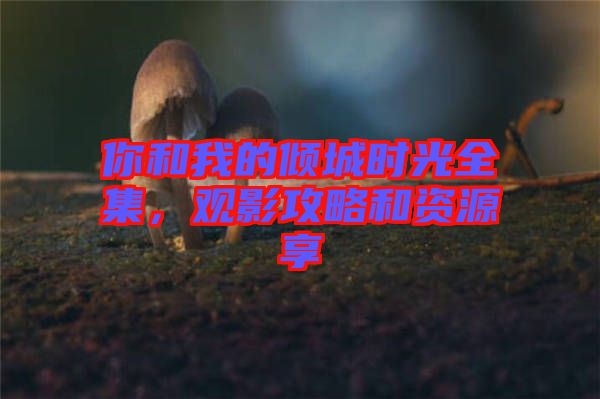 你和我的傾城時光全集，觀影攻略和資源享