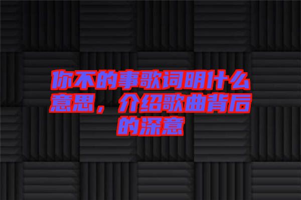 你不的事歌詞明什么意思，介紹歌曲背后的深意