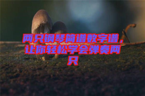 兩只鋼琴簡(jiǎn)譜數(shù)字譜，讓你輕松學(xué)會(huì)彈奏兩只