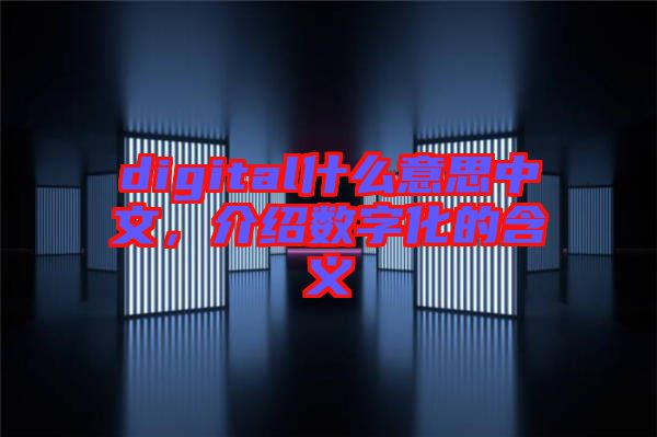 digital什么意思中文，介紹數(shù)字化的含義