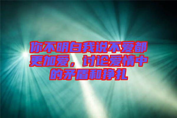 你不明白我說不愛都更加愛，討論愛情中的矛盾和掙扎