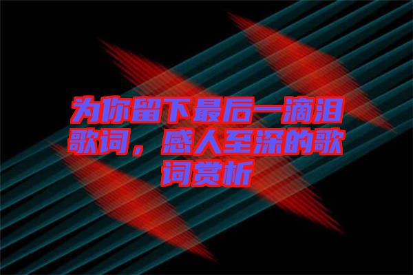 為你留下最后一滴淚歌詞，感人至深的歌詞賞析