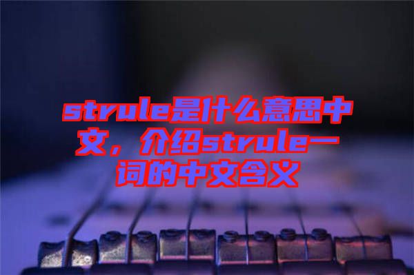 strule是什么意思中文，介紹strule一詞的中文含義