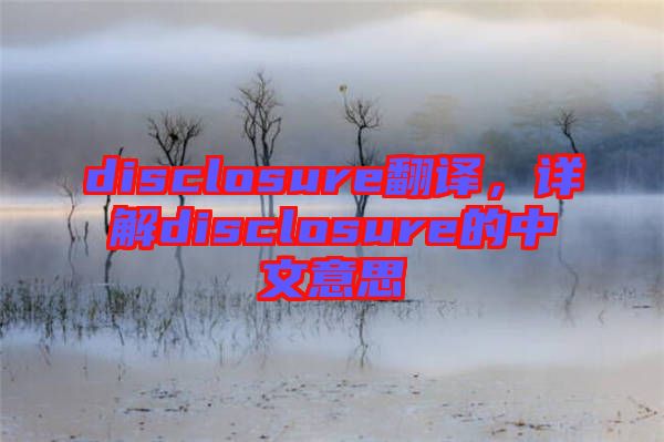 disclosure翻譯，詳解disclosure的中文意思