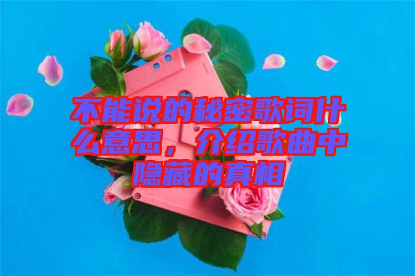 不能說的秘密歌詞什么意思，介紹歌曲中隱藏的真相