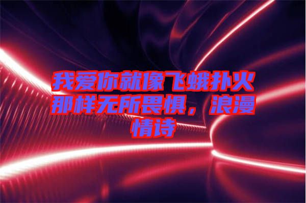 我愛你就像飛蛾撲火那樣無所畏懼，浪漫情詩