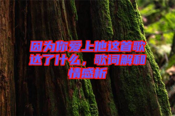 因為你愛上他這首歌達了什么，歌詞解和情感析