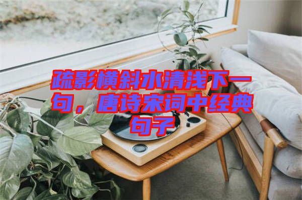 疏影橫斜水清淺下一句，唐詩宋詞中經(jīng)典句子