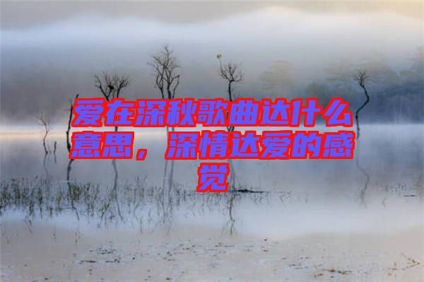 愛在深秋歌曲達(dá)什么意思，深情達(dá)愛的感覺