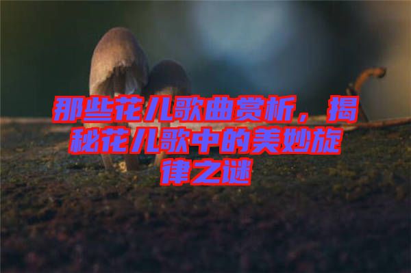 那些花兒歌曲賞析，揭秘花兒歌中的美妙旋律之謎