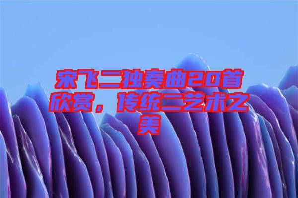 宋飛二獨(dú)奏曲20首欣賞，傳統(tǒng)二藝術(shù)之美