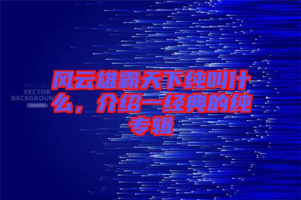 風(fēng)云雄霸天下純叫什么，介紹一經(jīng)典的純專(zhuān)輯