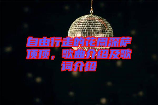 自由行走的花周深薩頂頂，歌曲介紹及歌詞介紹