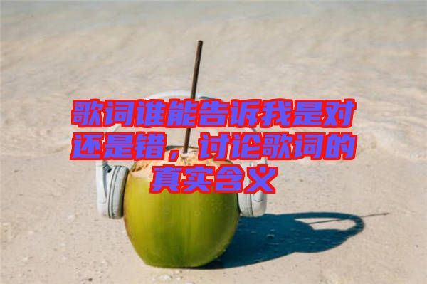 歌詞誰能告訴我是對(duì)還是錯(cuò)，討論歌詞的真實(shí)含義