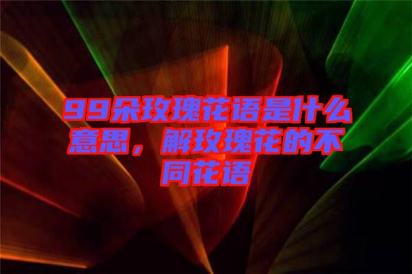 99朵玫瑰花語是什么意思，解玫瑰花的不同花語