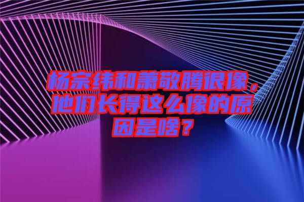 楊宗緯和蕭敬騰很像，他們長(zhǎng)得這么像的原因是啥？