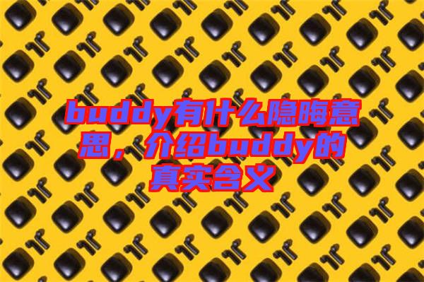 buddy有什么隱晦意思，介紹buddy的真實(shí)含義