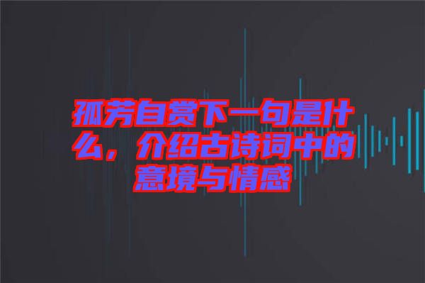 孤芳自賞下一句是什么，介紹古詩詞中的意境與情感