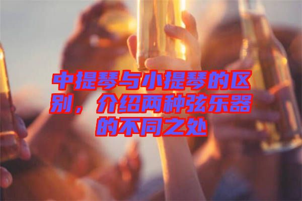 中提琴與小提琴的區(qū)別，介紹兩種弦樂器的不同之處