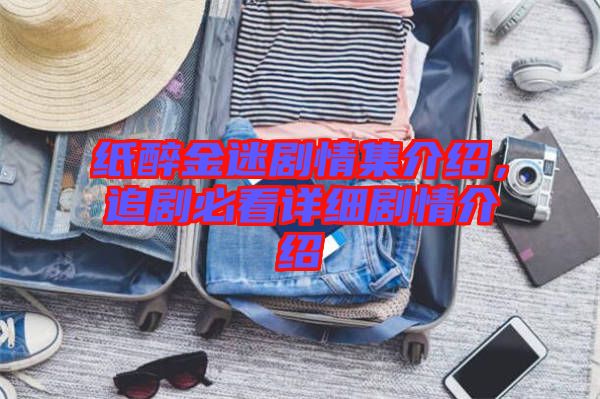 紙醉金迷劇情集介紹，追劇必看詳細劇情介紹