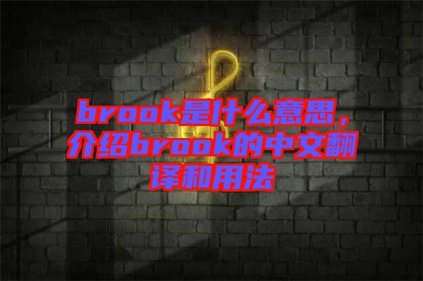 brook是什么意思，介紹brook的中文翻譯和用法