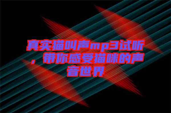 真實(shí)貓叫聲mp3試聽，帶你感受貓咪的聲音世界