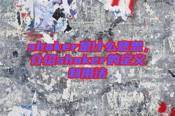 shaker是什么意思，介紹shaker的定義和用法