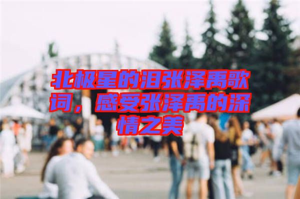 北極星的淚張澤禹歌詞，感受張澤禹的深情之美