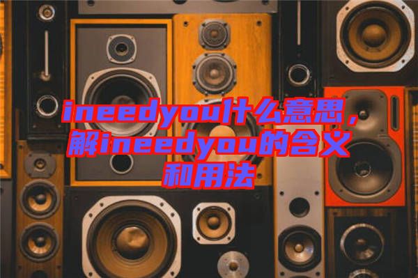 ineedyou什么意思，解ineedyou的含義和用法