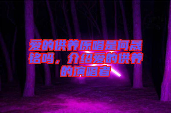 愛的供養(yǎng)原唱是何晟銘嗎，介紹愛的供養(yǎng)的演唱者