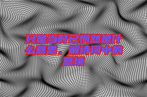 只是當時已惘然是什么意思，解詩詞中的意境