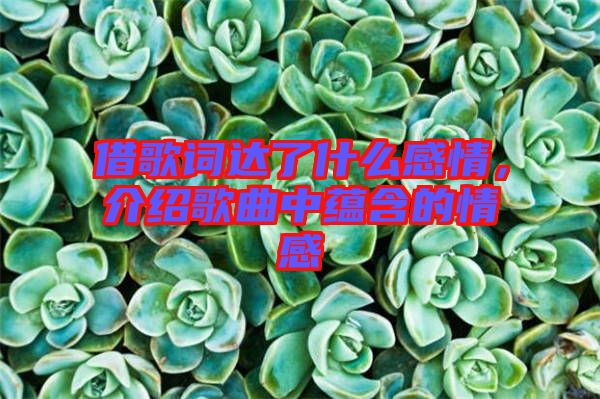 借歌詞達(dá)了什么感情，介紹歌曲中蘊(yùn)含的情感