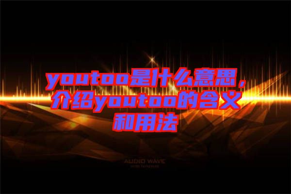 youtoo是什么意思，介紹youtoo的含義和用法